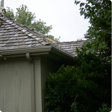 St Paul Gutter Service
